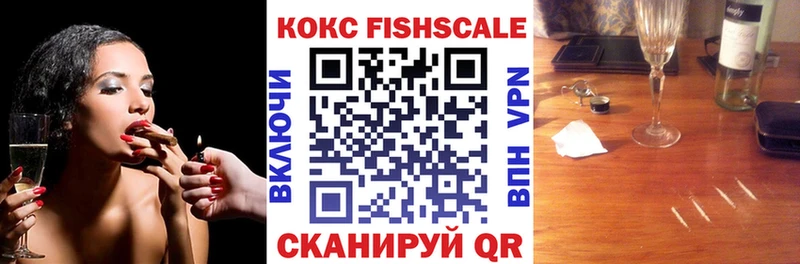 COCAIN Fish Scale  как найти закладки  Белгород 