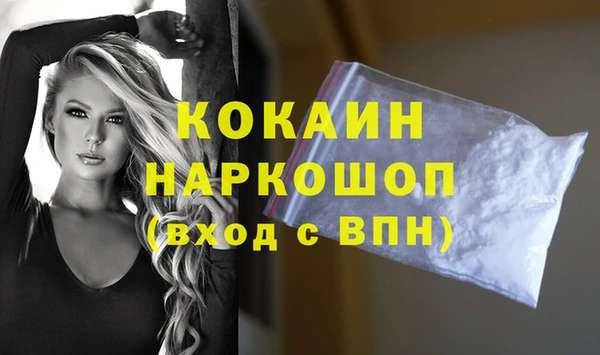 гашик Арсеньев