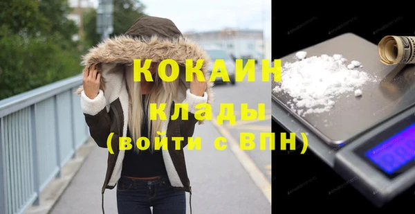 гашик Арсеньев