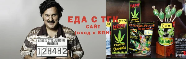 гашик Арсеньев