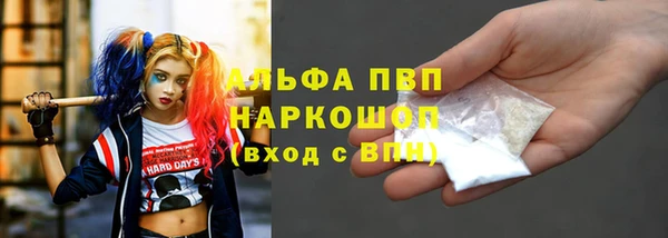 гашик Арсеньев