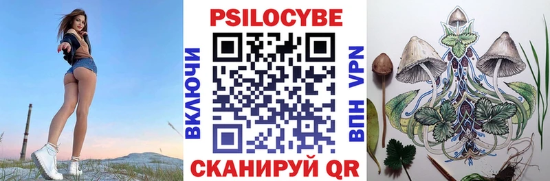 Псилоцибиновые грибы Cubensis  ОМГ ОМГ   Белгород 